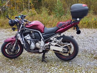 2001 Yamaha FZS1000 Fazer, красный, 295000 рублей, вид 4