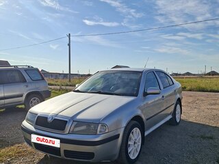 2006 Skoda Octavia I (A4) Рестайлинг, серебристый, 425000 рублей, вид 1