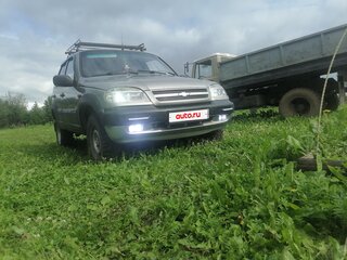 2007 Chevrolet Niva I, серый, 230000 рублей, вид 4