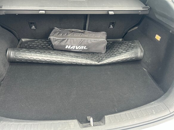 2021 Haval F7x I, белый - вид 28