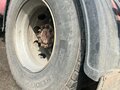 1992 DAF 95, белый, 1339000 рублей - вид 11