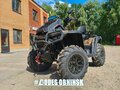 2026 AODES (Odes) Pathcross 1000 Mud Pro, коричневый, 1597000 рублей - вид 5