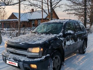 2006 Chevrolet TrailBlazer I Рестайлинг, серый, 600000 рублей, вид 1