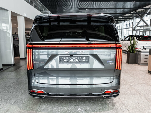 2025 Wey 80 37.96 kWh, серый - вид 8