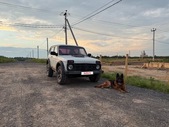 2010 Lada (ВАЗ) 2121 (4x4) I Рестайлинг, белый, 230000 рублей - вид 2