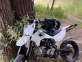 2024 Kayo Evolution YX140EM, белый, 65000 рублей - вид 1