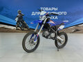 2026 Apollo RFZ, синий, 96000 рублей