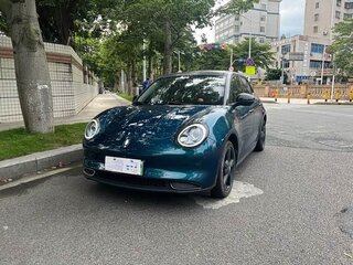 2021 Ora Good Cat 46 kWh I, зелёный, 1430000 рублей, вид 1