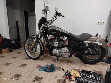 2004 Harley-Davidson Sportster 1200, золотистый, 700000 рублей, вид 5