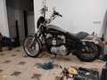 2004 Harley-Davidson Sportster 1200, золотистый - вид 4
