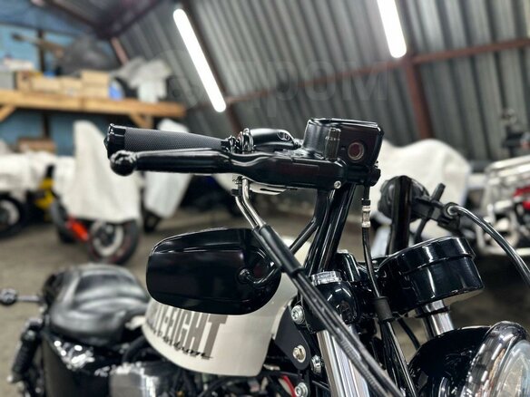 2014 Harley-Davidson Sportster 1200, белый, 1310000 рублей - вид 37