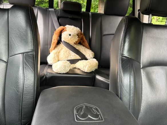 2014 Dodge RAM IV (DS/DJ), чёрный, 3900000 рублей - вид 27