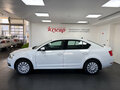 2019 Skoda Octavia III (A7) Рестайлинг, белый, 1840000 рублей - вид 6