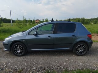 2007 Peugeot 307 I Рестайлинг, серый, 450000 рублей, вид 4