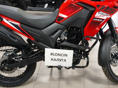2026 Loncin MS250, красный, 179900 рублей, вид 3