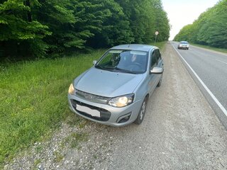 2013 Lada (ВАЗ) Kalina II, серебристый, 610000 рублей, вид 4