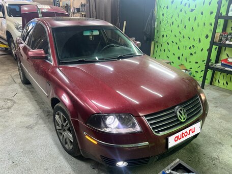 2001 Volkswagen Passat B5 Рестайлинг, пурпурный, 295000 рублей, вид 4