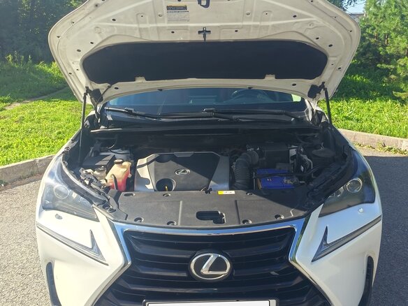 2017 Lexus NX 200 I Рестайлинг, белый - вид 2