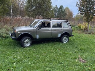 2002 Lada (ВАЗ) 2131 (4x4) I, серый, 120000 рублей, вид 2