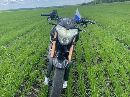 2013 Stels 250 Enduro, чёрный, 38000 рублей, вид 3
