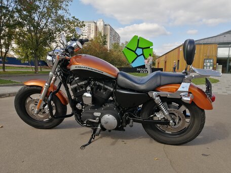 2014 Harley-Davidson XL1200, оранжевый, 999000 рублей, вид 3