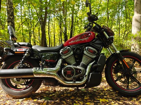 2022 Harley-Davidson Nightster, красный, 970000 рублей, вид 2