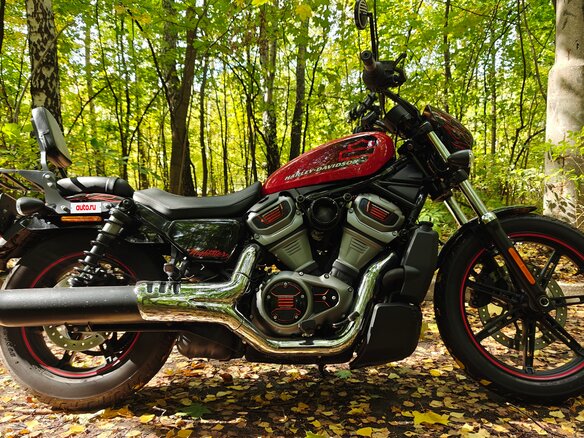 2022 Harley-Davidson Nightster, красный - вид 1