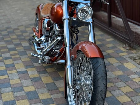 2009 Harley-Davidson Softail Custom, оранжевый, 1150000 рублей, вид 5