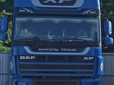 1998 DAF 95XF, синий, 1300000 рублей, вид 2