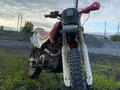 2016 Irbis TTR 250, красный, 80000 рублей - вид 2