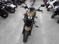 2017 Harley-Davidson Street Rod, зелёный, 550000 рублей - вид 5