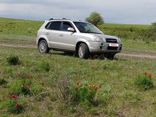 2008 Hyundai Tucson I, серебристый, 830000 рублей, вид 2