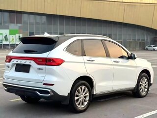 2022 Haval M6 Plus II, белый, 1300000 рублей, вид 5