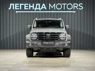 2024 Tank 300 I, серый, 3850000 рублей, вид 2