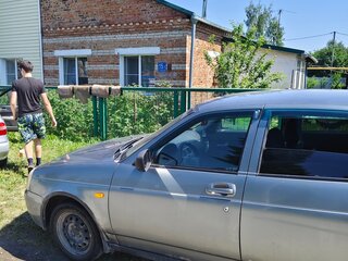 2011 Lada (ВАЗ) Priora I, серый, 180000 рублей, вид 3