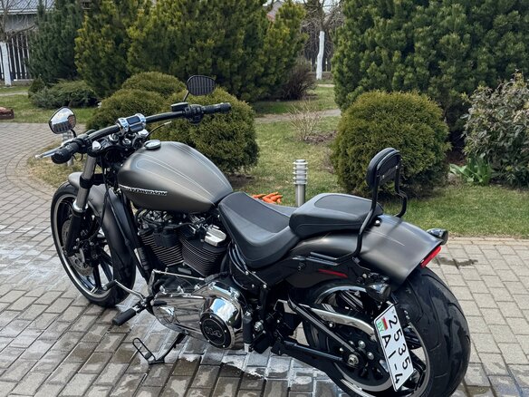 2019 Harley-Davidson Breakout, серый, 1800000 рублей - вид 11