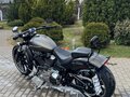 2019 Harley-Davidson Breakout, серый, 1800000 рублей - вид 11