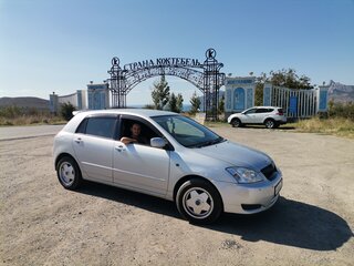 2003 Toyota Corolla Runx IX (E120, E130), серебристый, 480000 рублей, вид 5