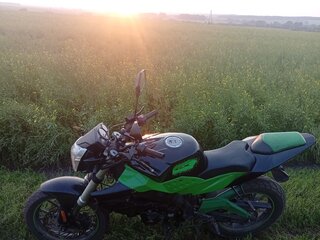 Irbis GR 250
