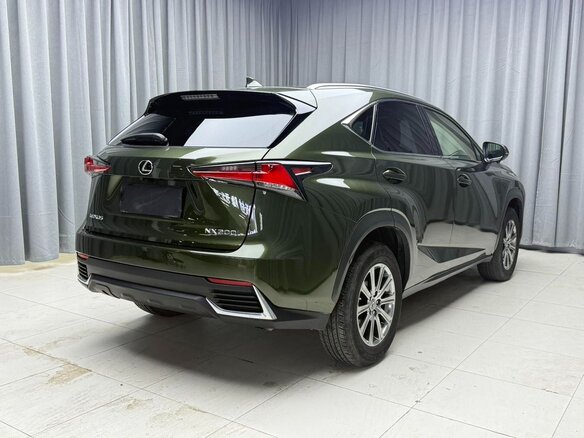 2020 Lexus NX 200 I Рестайлинг, зелёный, 2890000 рублей - вид 3