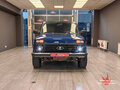 2010 Lada (ВАЗ) 2329, синий - вид 2