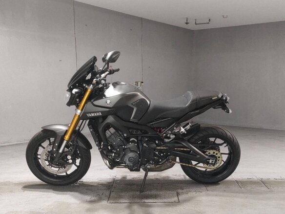 2014 Yamaha MT-09 (FZ-09), серый, 620000 рублей - вид 12