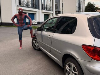 2007 Peugeot 307 I Рестайлинг, серебристый, 239000 рублей, вид 5