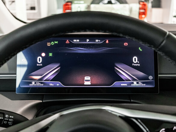 2025 Wey 80 37.96 kWh, серый - вид 19