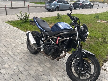 2024 Suzuki SV 650, синий, 700000 рублей, вид 2