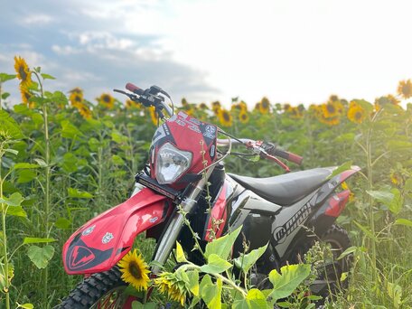 2024 Racer SR-X1/X2 (Cross), красный, 100000 рублей, вид 1