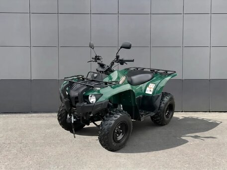 2026 Yamaha Grizzly 300, зелёный, 243000 рублей, вид 1