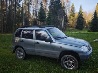 2007 Chevrolet Niva I, серый, 350000 рублей, вид 3