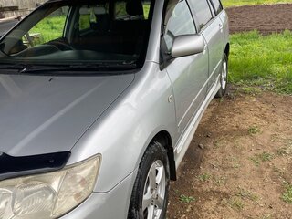2005 Toyota Corolla Fielder IX (E120, E130) Рестайлинг, серый, 780000 рублей, вид 5