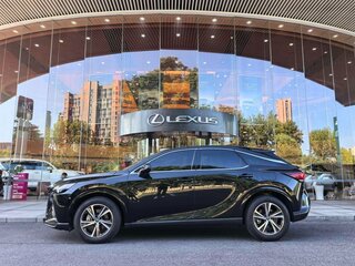 2026 Lexus RX 300 V, чёрный, 7999666 рублей, вид 5